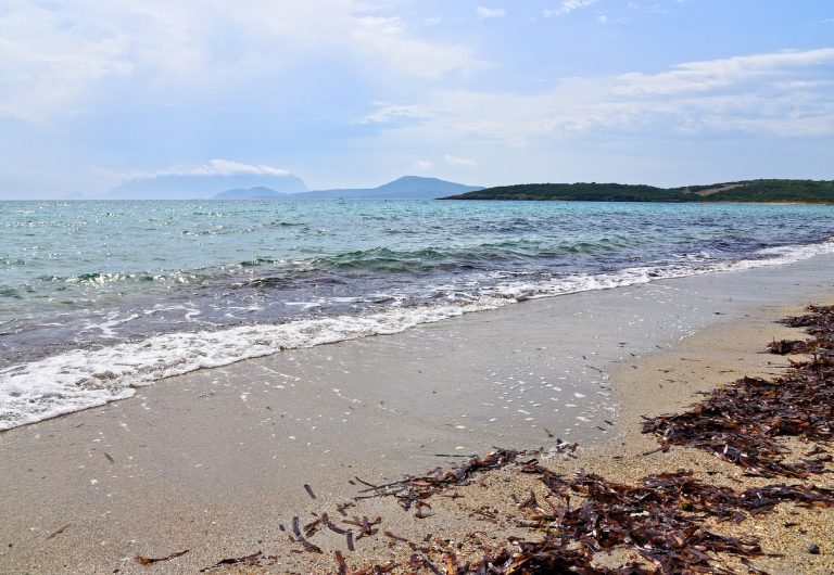 alghero o olbia
