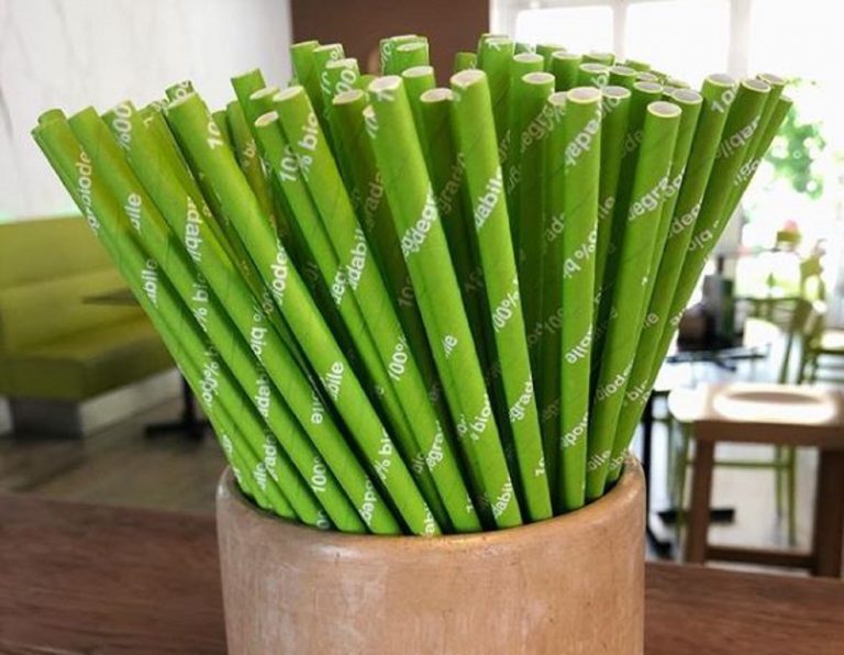 Riviera Romagnola, in arrivo le cannucce di carta per questa estate