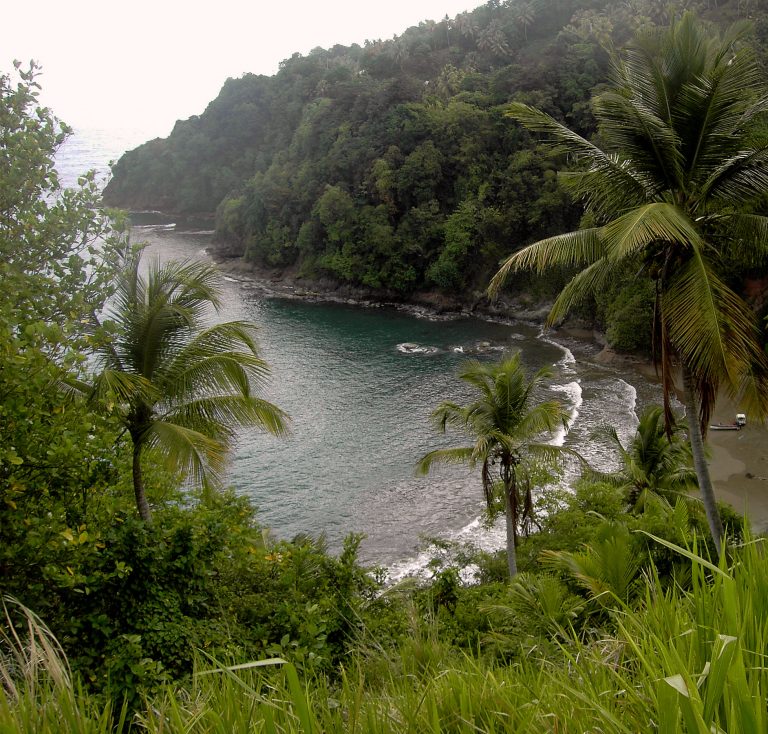 dominica