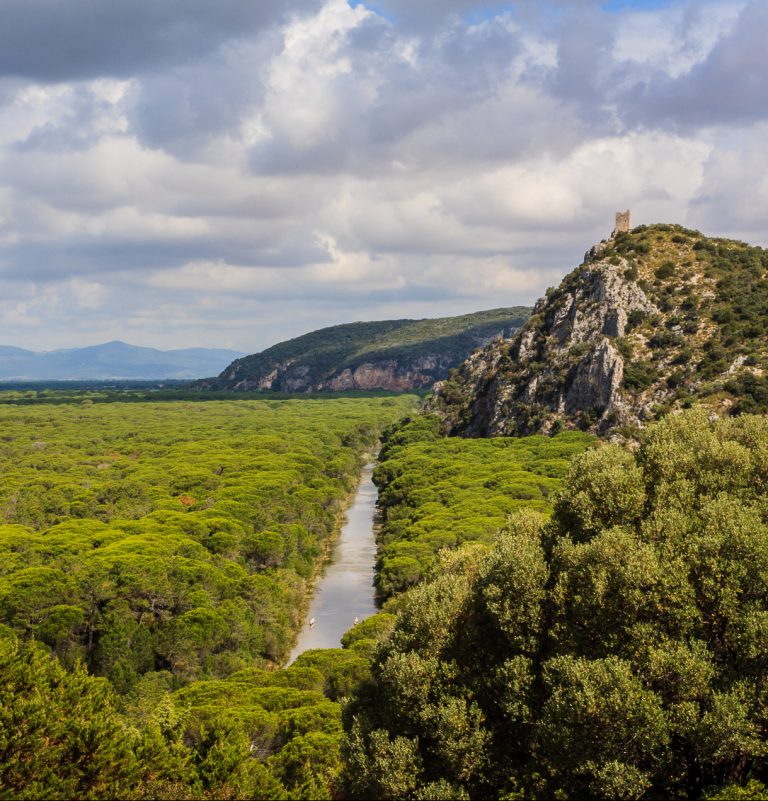 parco dell'uccellina