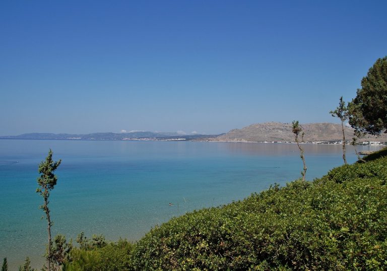 pefkos rodi