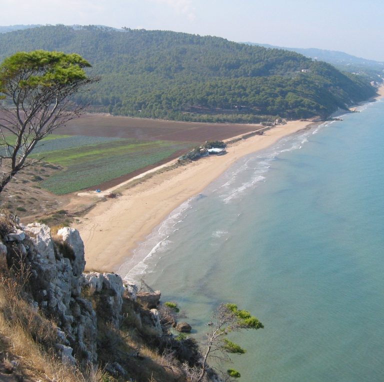 spiaggia di sospetto