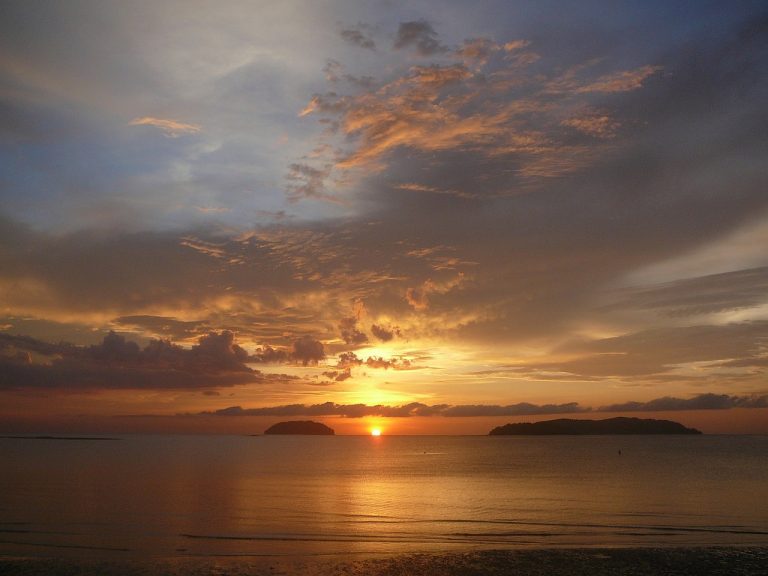 borneo e sumatra
