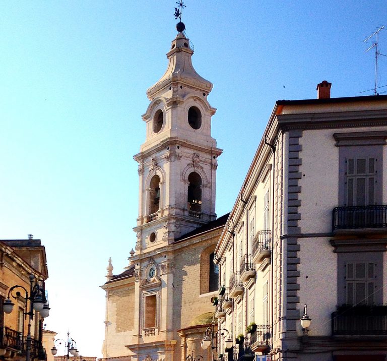 bovino