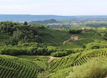 cosa vedere a treviso in due giorni