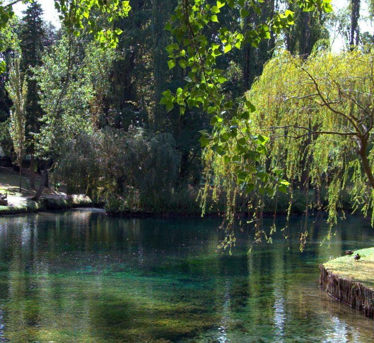fonti del clitunno