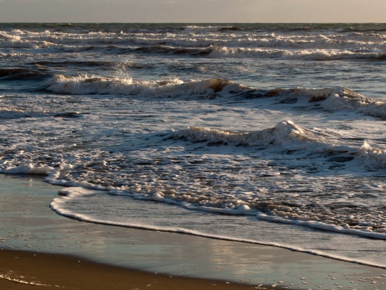 forte dei marmi cosa vedere