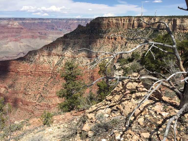gran canyon south