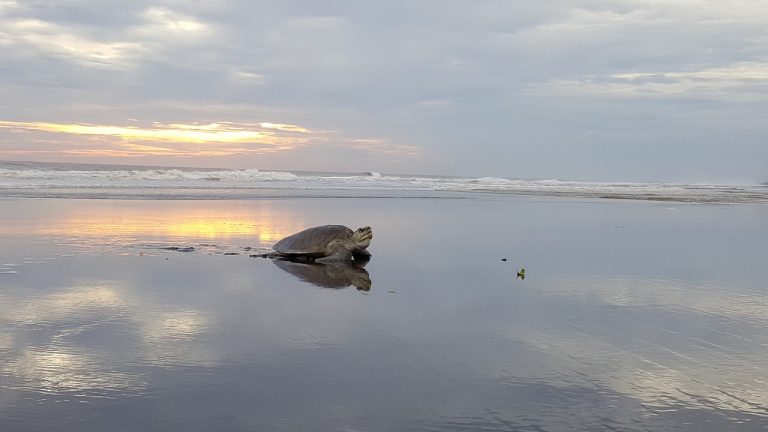 madagascar cosa vedere in 15 giorni