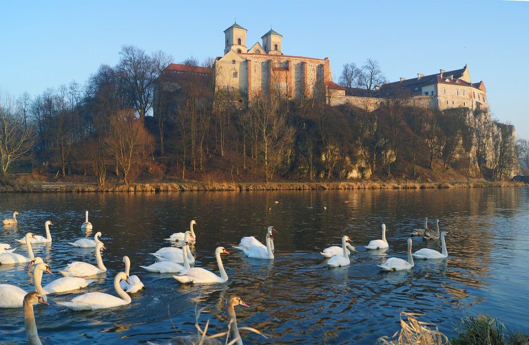 cracovia cosa vedere nei dintorni