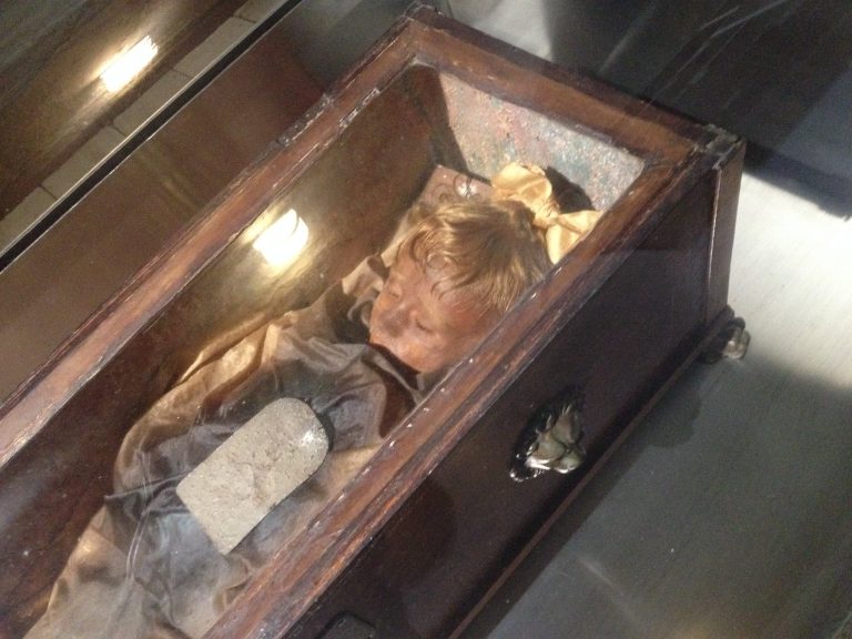 rosalia lombardo