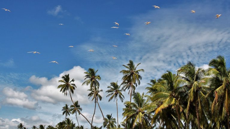 sri lanka quando andare
