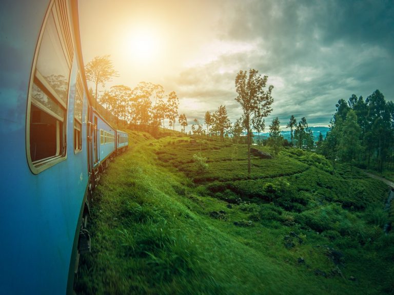 tour sri lanka fai da te