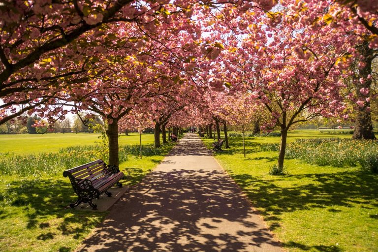 visitare londra con bambini