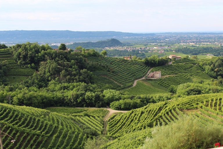 cantine veneto