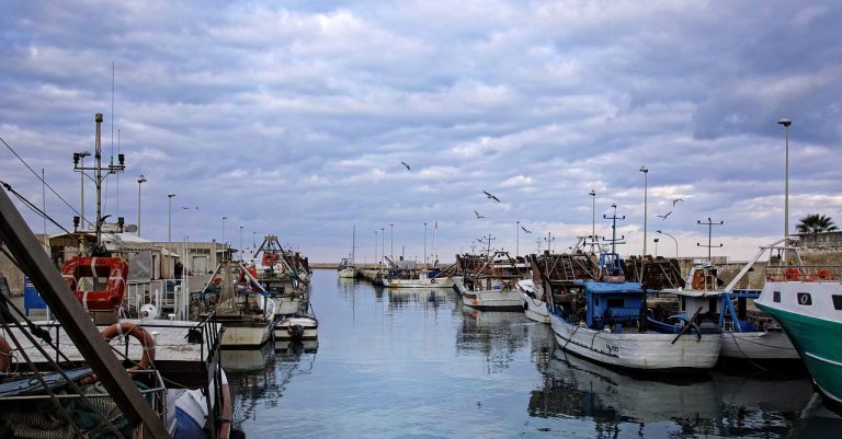mete foggia