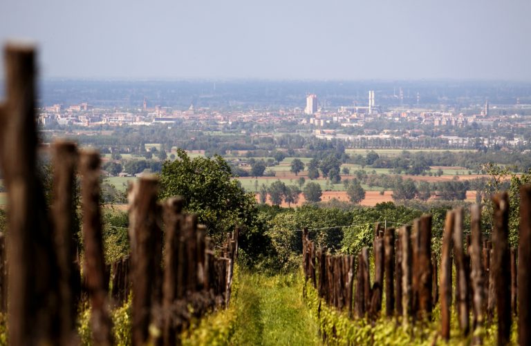 mete piacenza