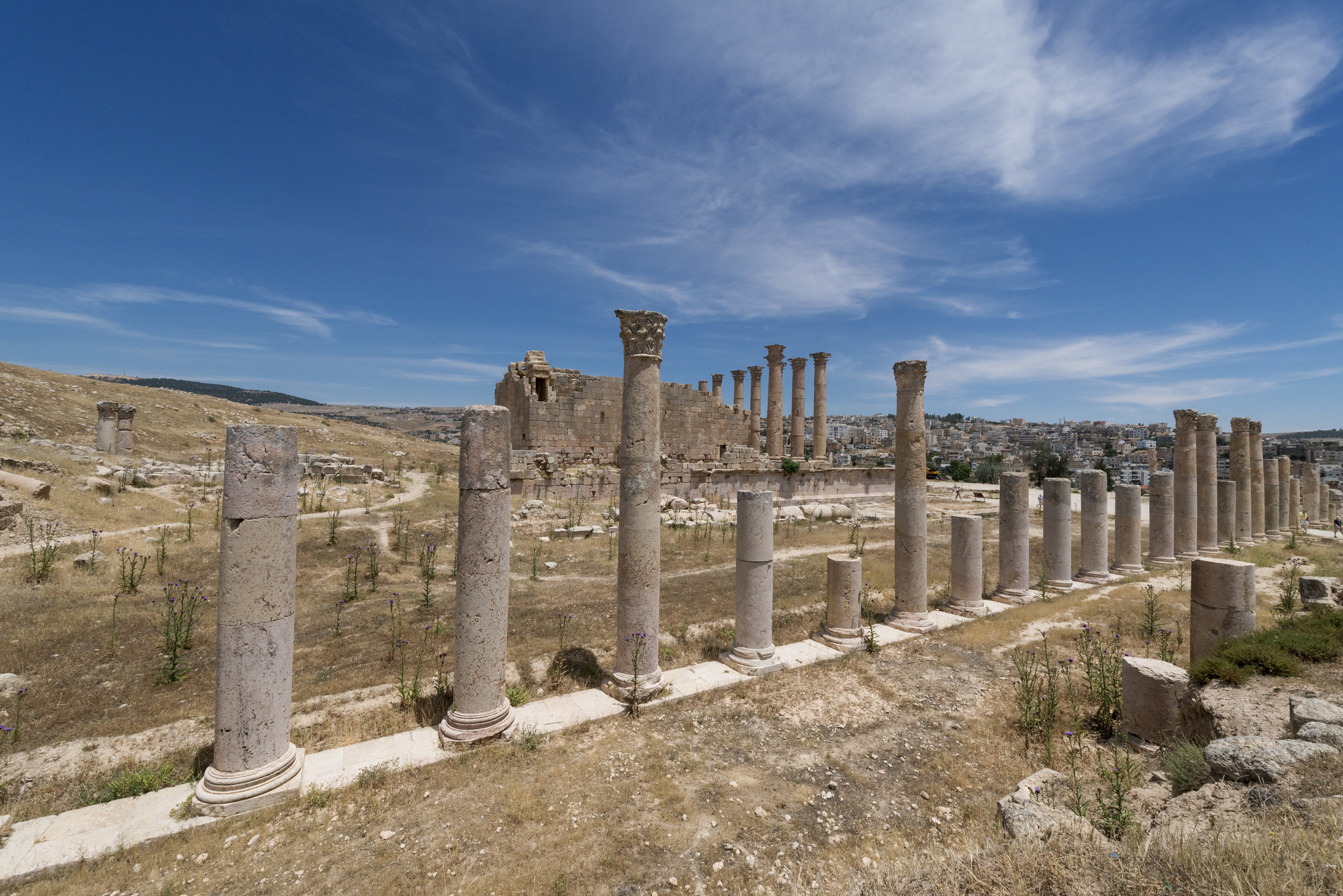 Tempio di Artemide 