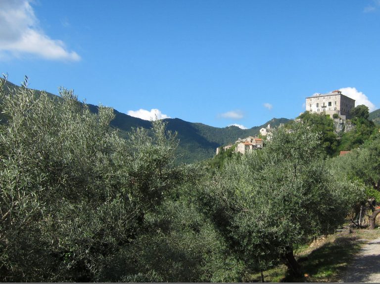 uliveti liguria