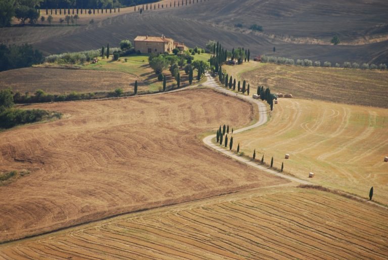 vendemmia settembre