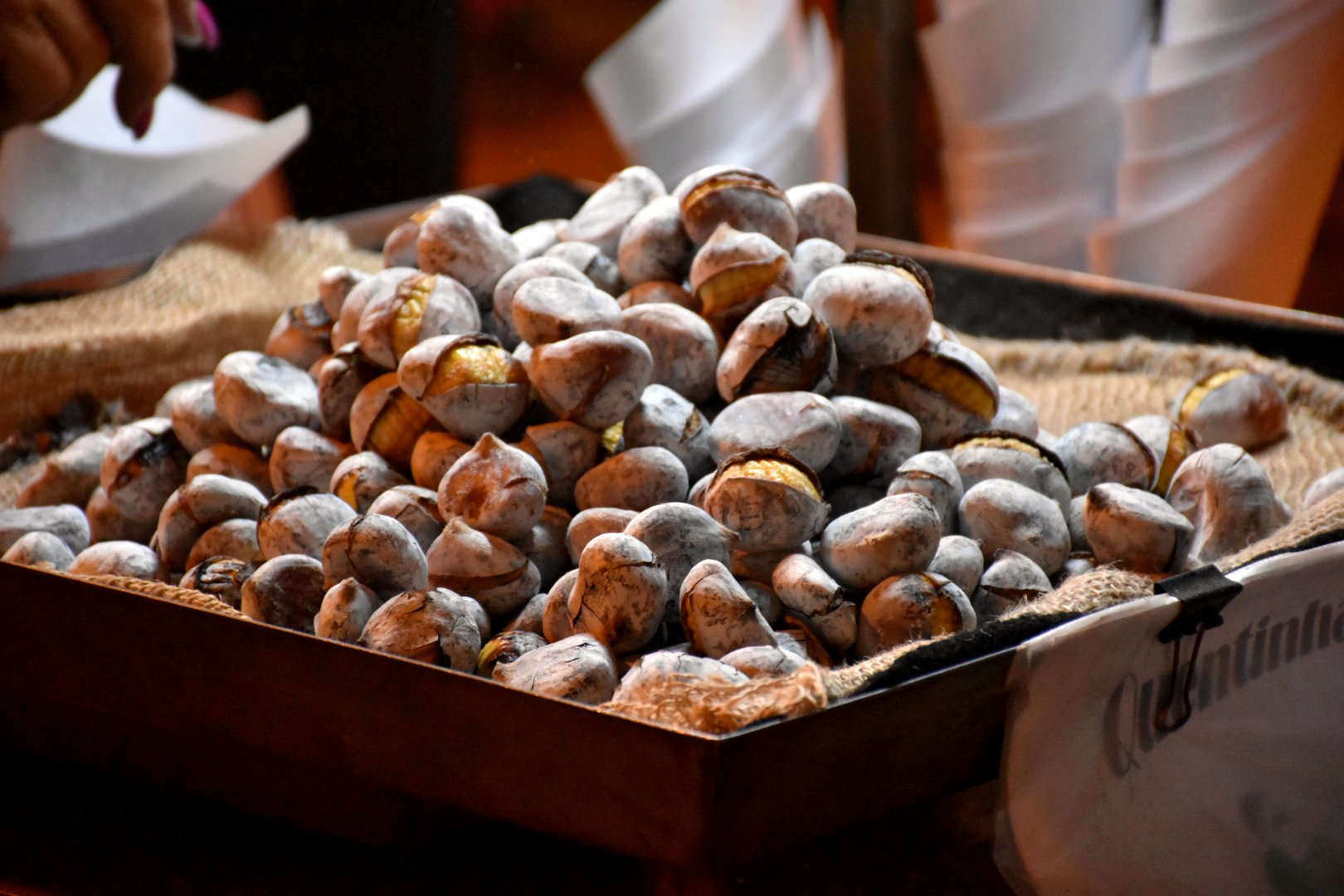 37425452174 520ee9674a o