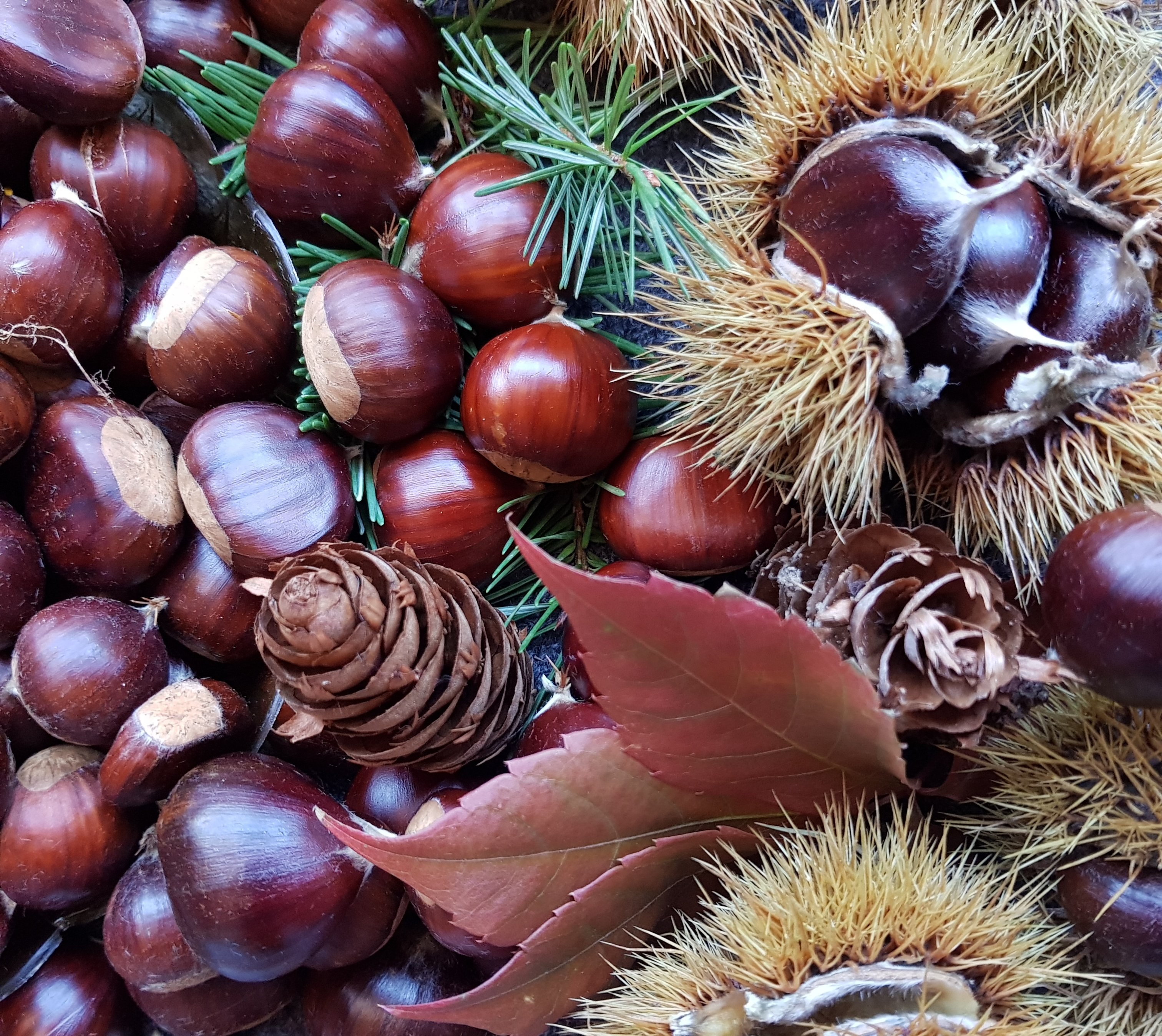 Viaggi treni storici Italia