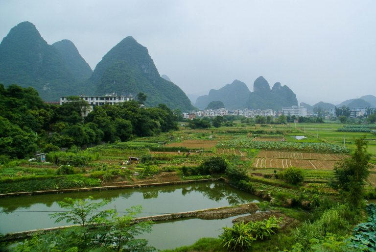 città foresta in cina