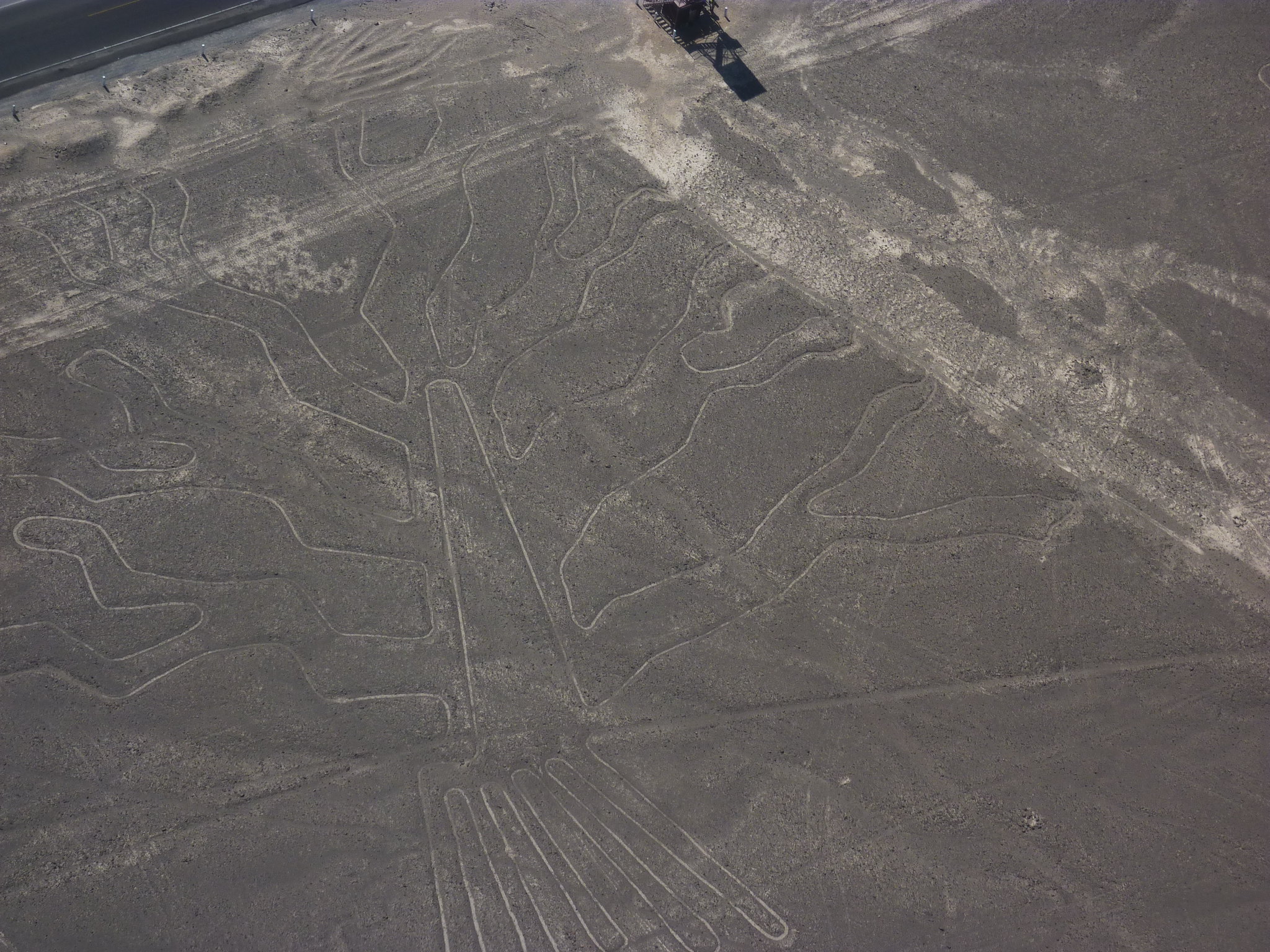 figure nel deserto di nazca
