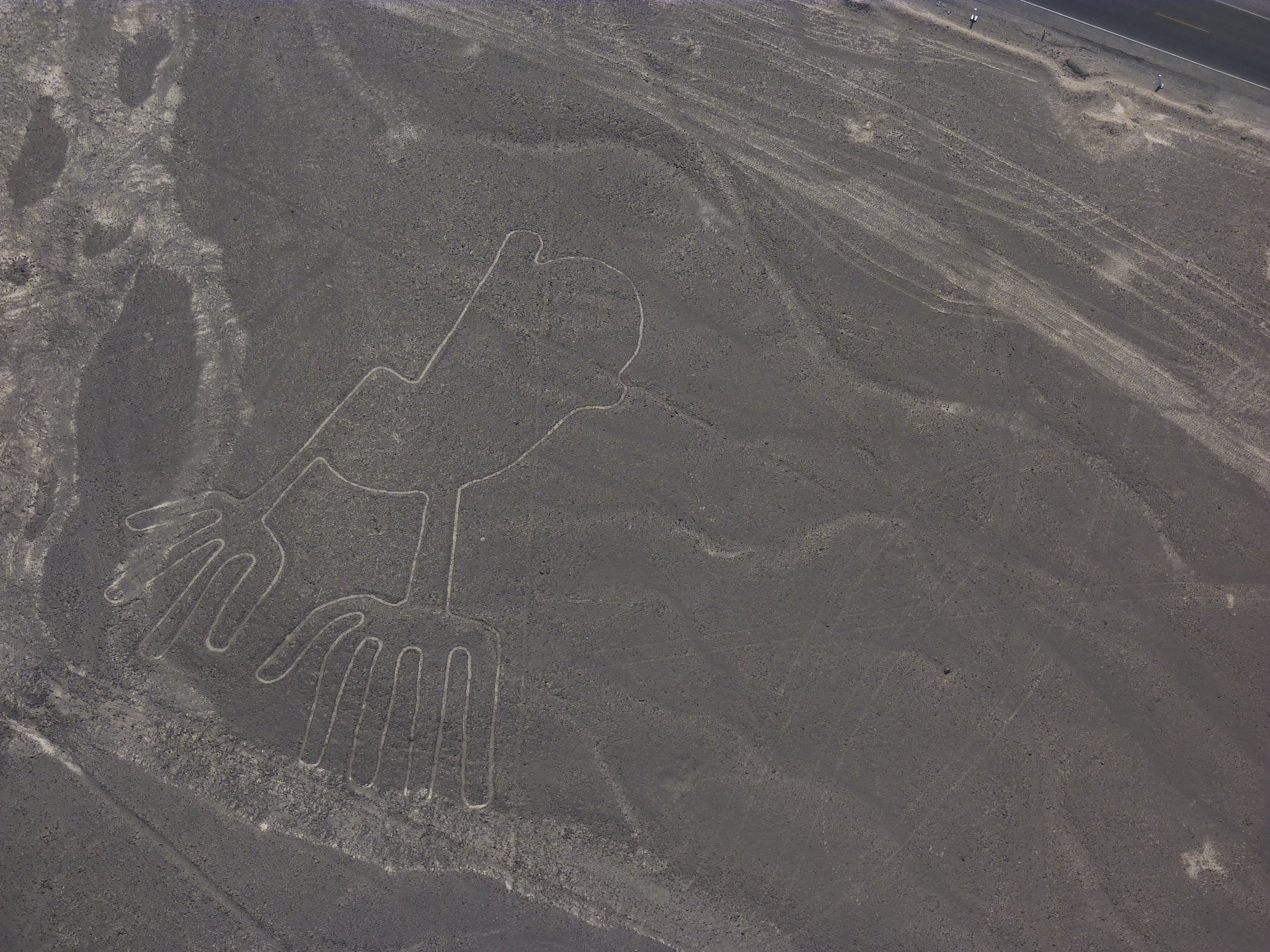linee di nazca
