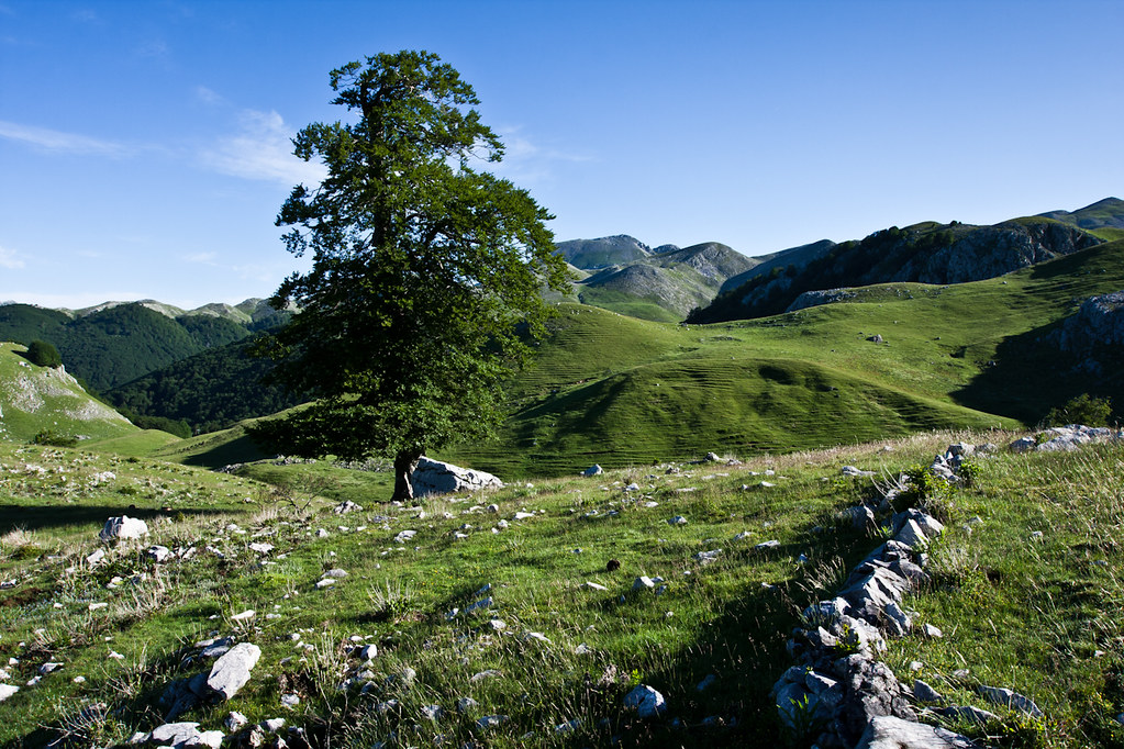 Parco Nazionale d'Abruzzo