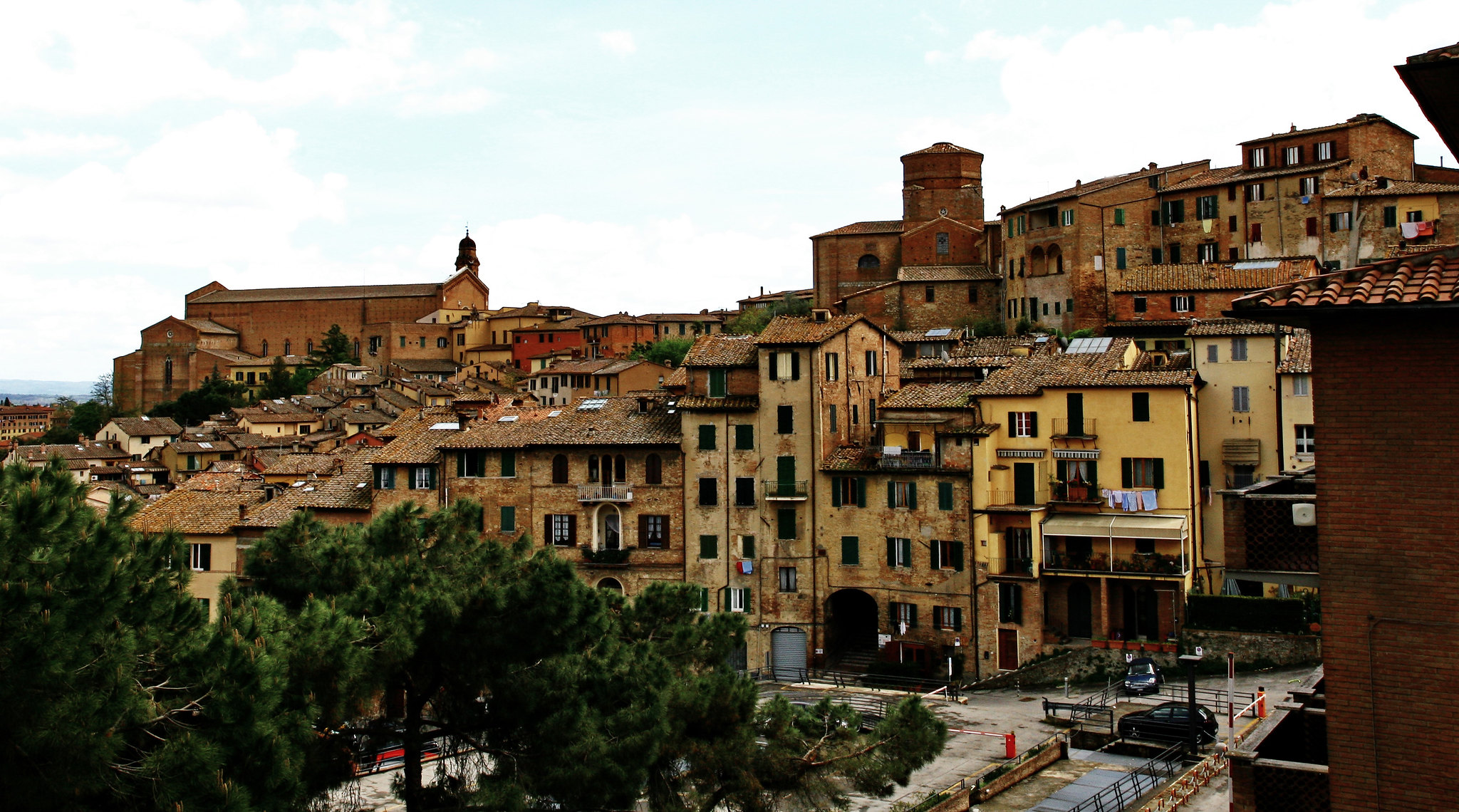 sagra del tartufo 2019 siena