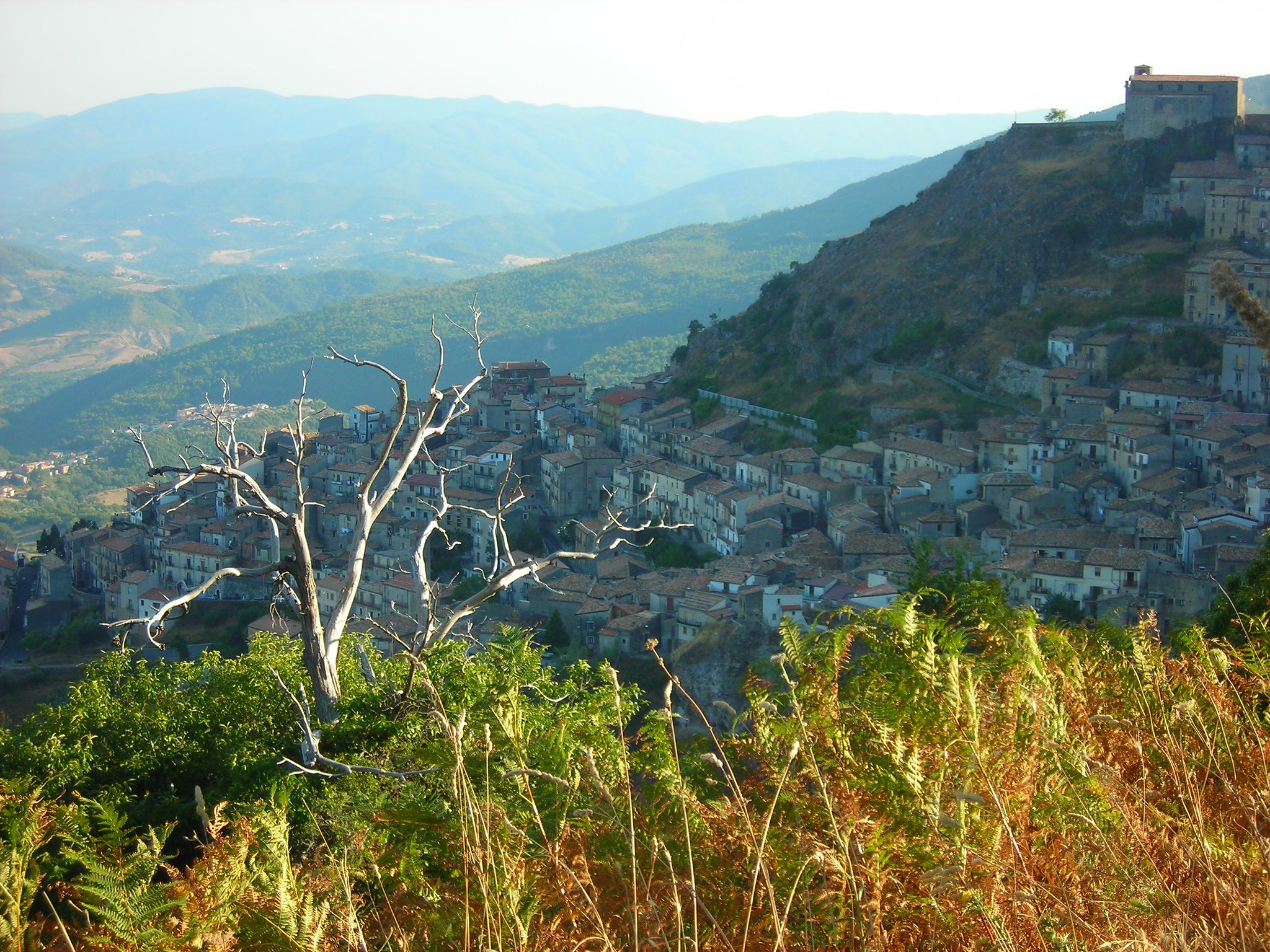 Sagra della Castagna 2019 in Calabria