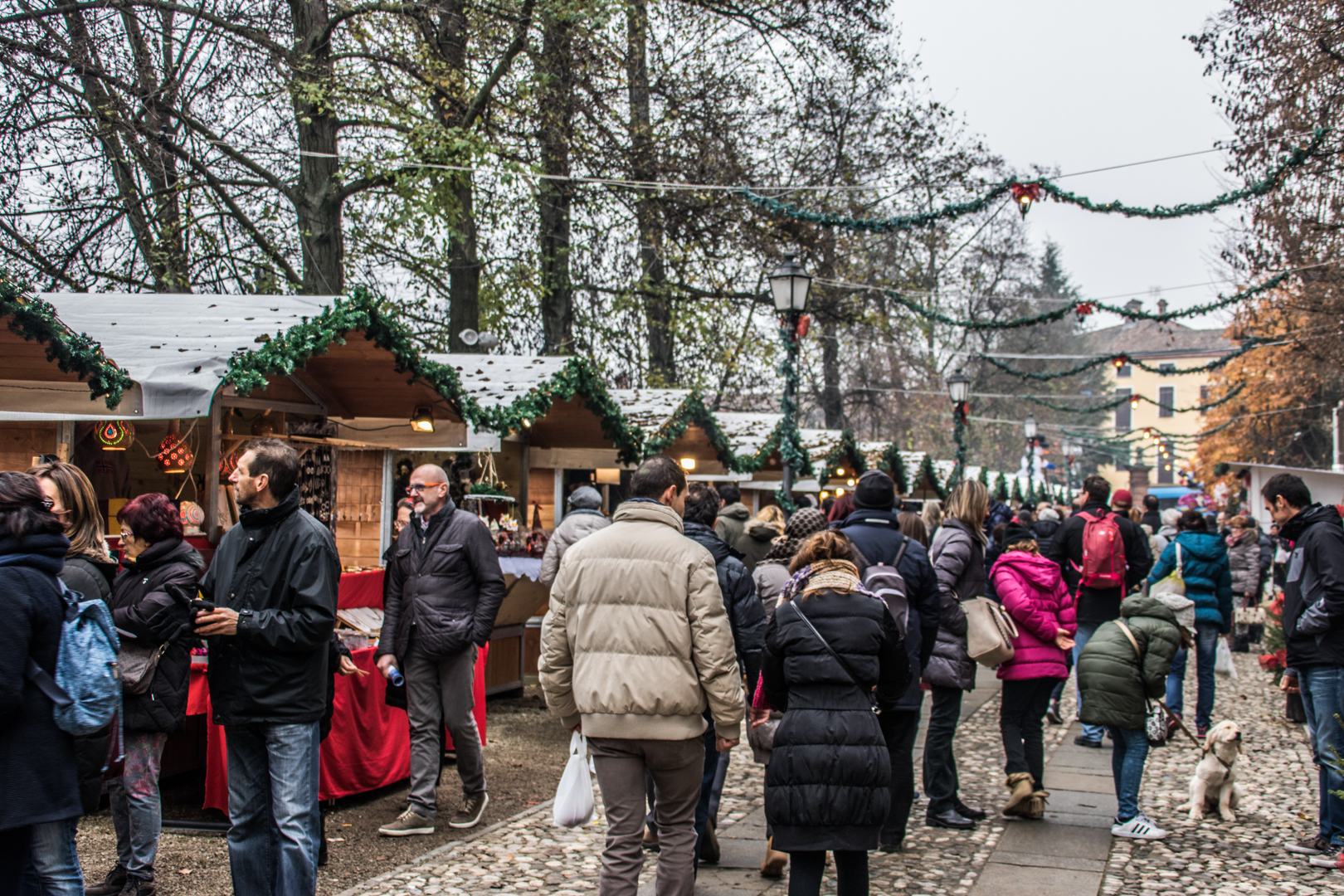 Mercatini di Natale Govone 2019