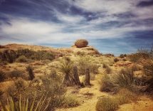 Deserto del Mojave