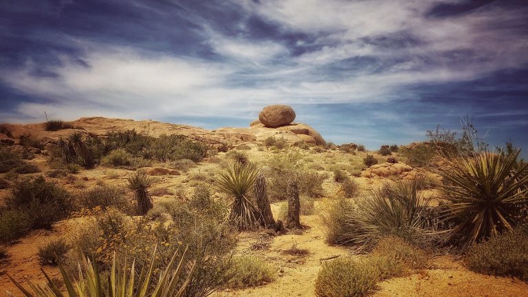 Deserto del Mojave