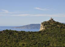 Come arrivare all'isola di Gorgona