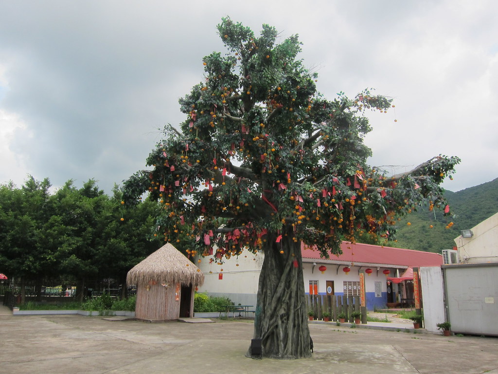 Albero dei Desideri di Fong Ma Po