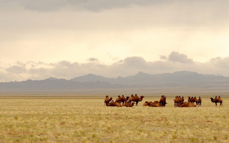 Mongolia cosa vedere in 10 giorni