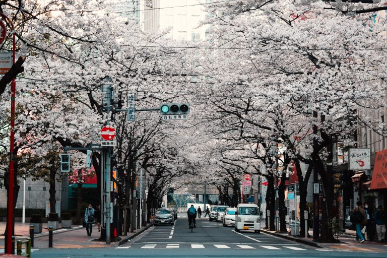 Tokyo cosa vedere in 4 giorni