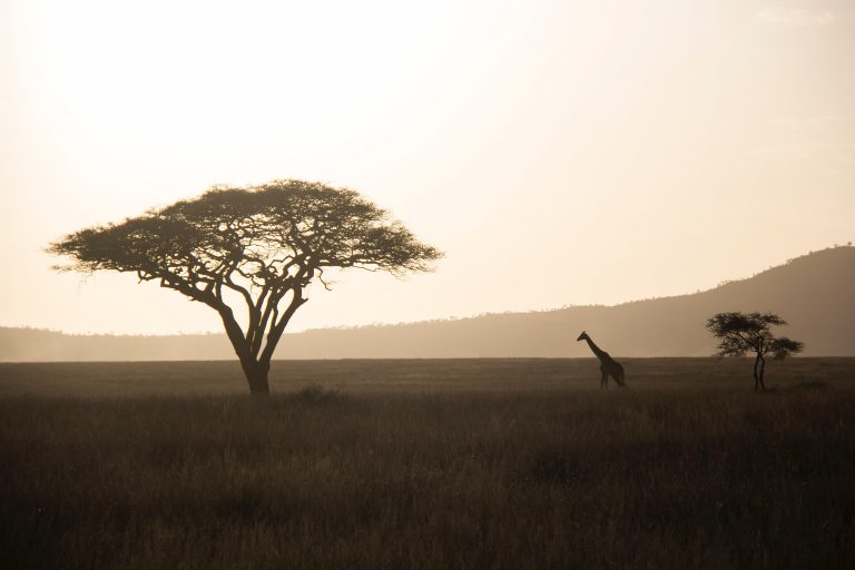 Vaccini viaggio Africa