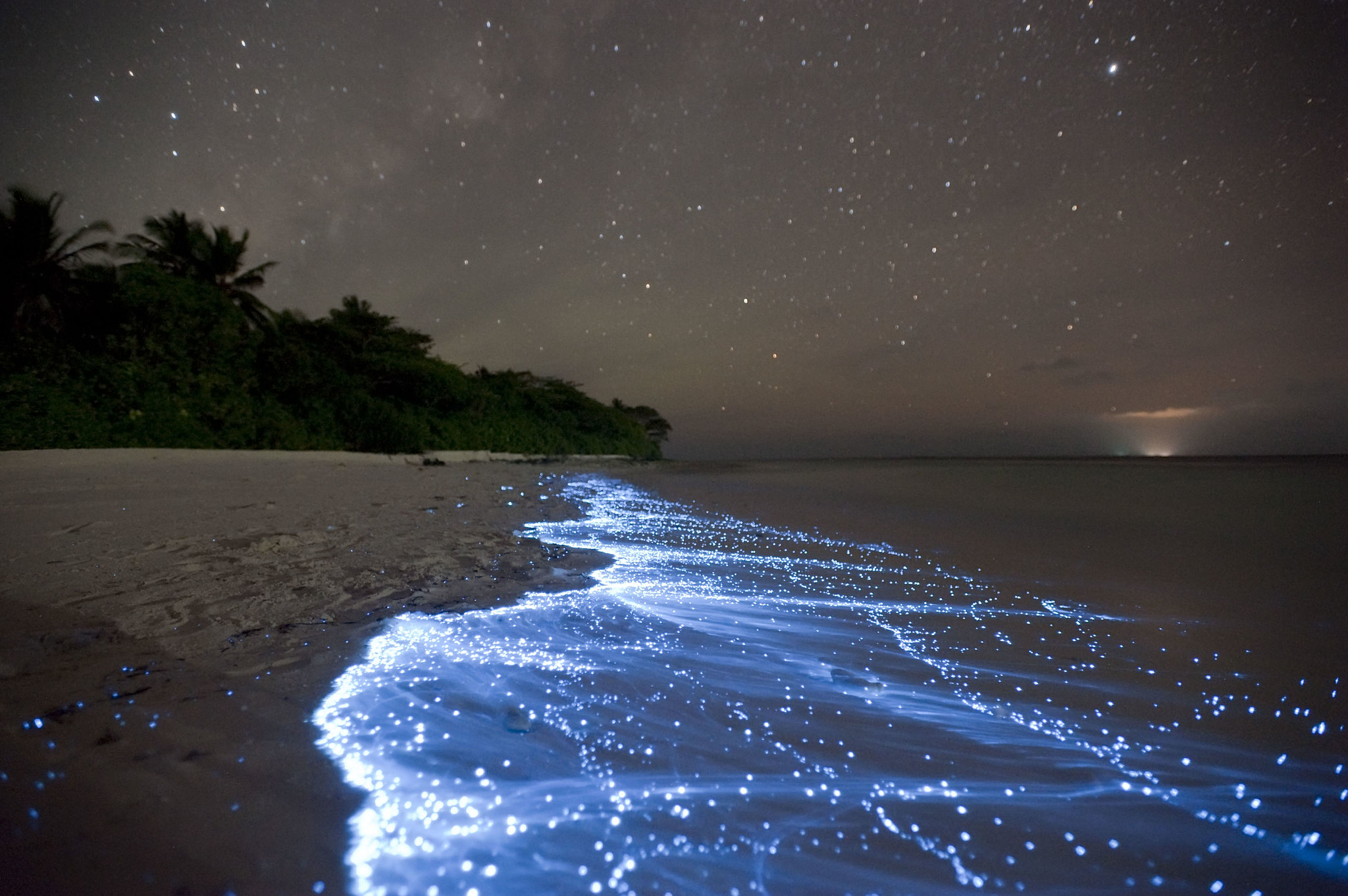 La spiaggia luminosa di Vaadhoo alle Maldive