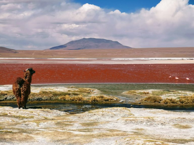 laguna colorada