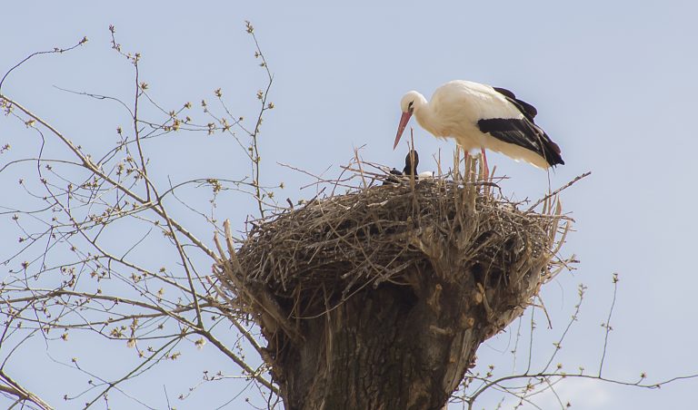 Oasi naturalistica dei Quadris di Fagagna