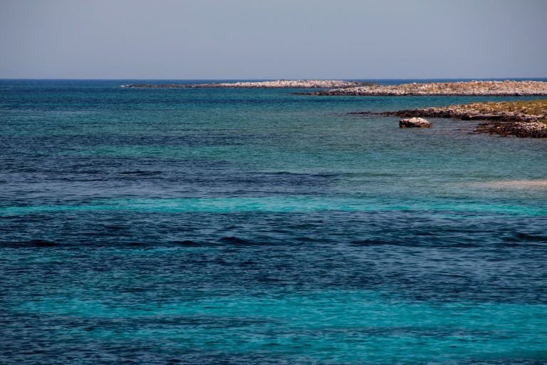 premuda croazia come arrivare