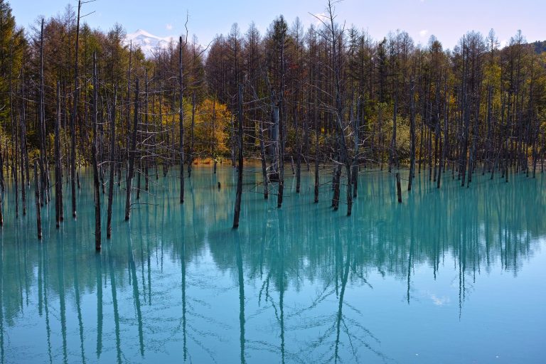 stagno blu hokkaido