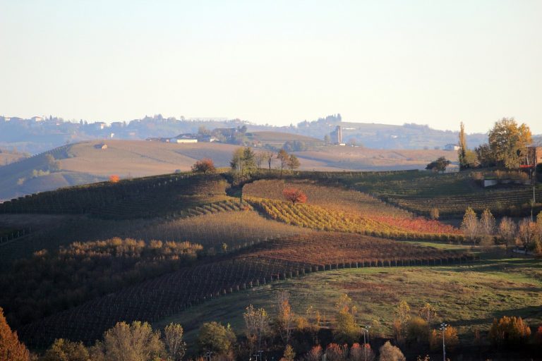 zona del barolo cosa vedere