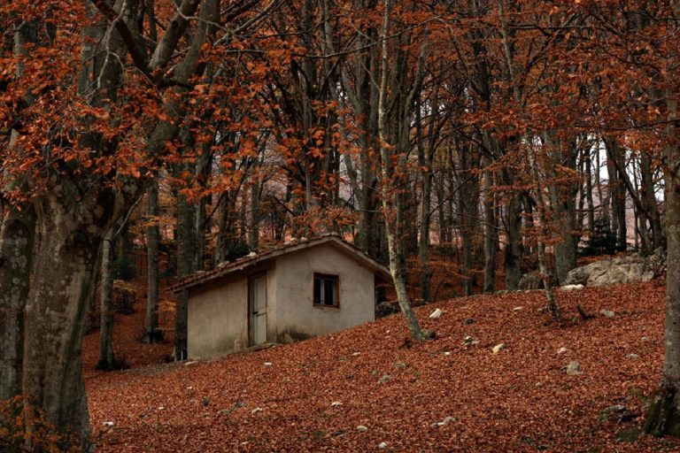 parco del monte cucco umbria