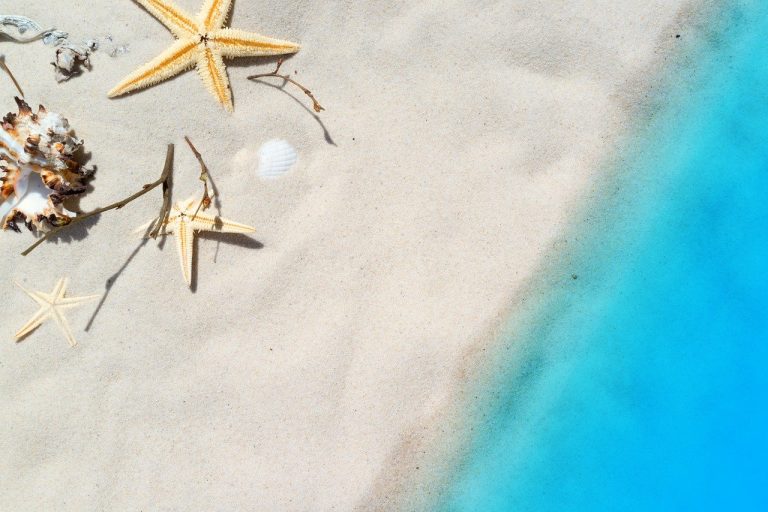 come organizzare le vacanze estive 2020