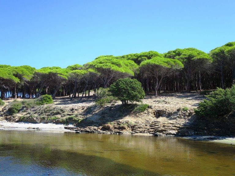 cosa vedere nei dintorni di budonicosa vedere nei dintorni di budoni