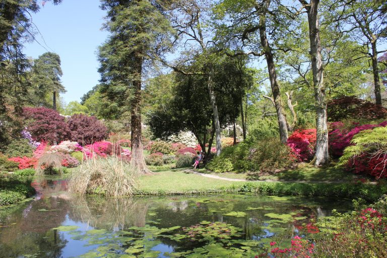 giardino segreto hampshire